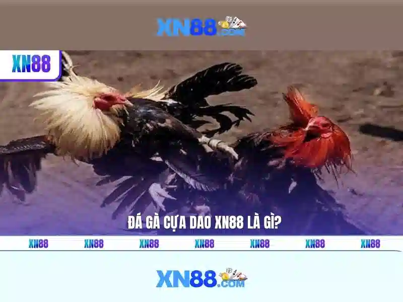 https://www.oscarandcornelius.com/images/text/xn88/xn88-text2603121228.webp