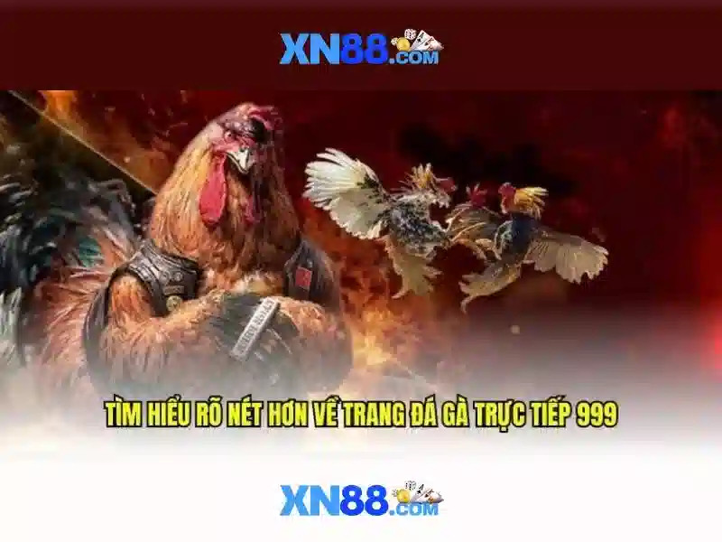 xn88 - Tổng quan về nền tảng chơi trực tuyến
