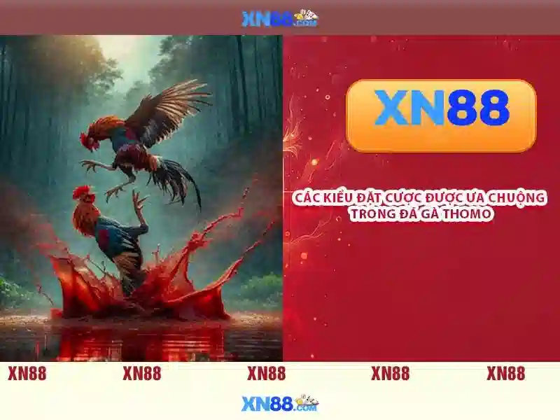 XN88 là gì và những điều cần biết