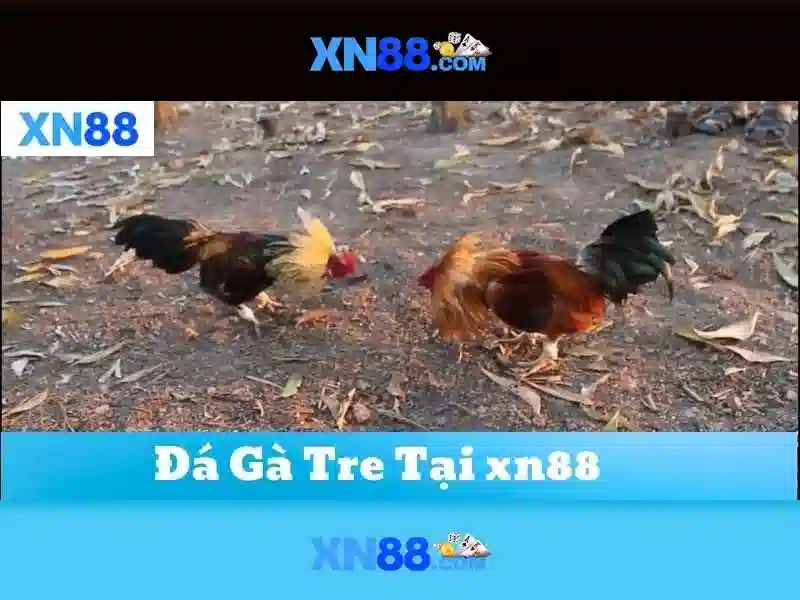 https://www.oscarandcornelius.com/images/text/xn88/xn88-text26031220.webp