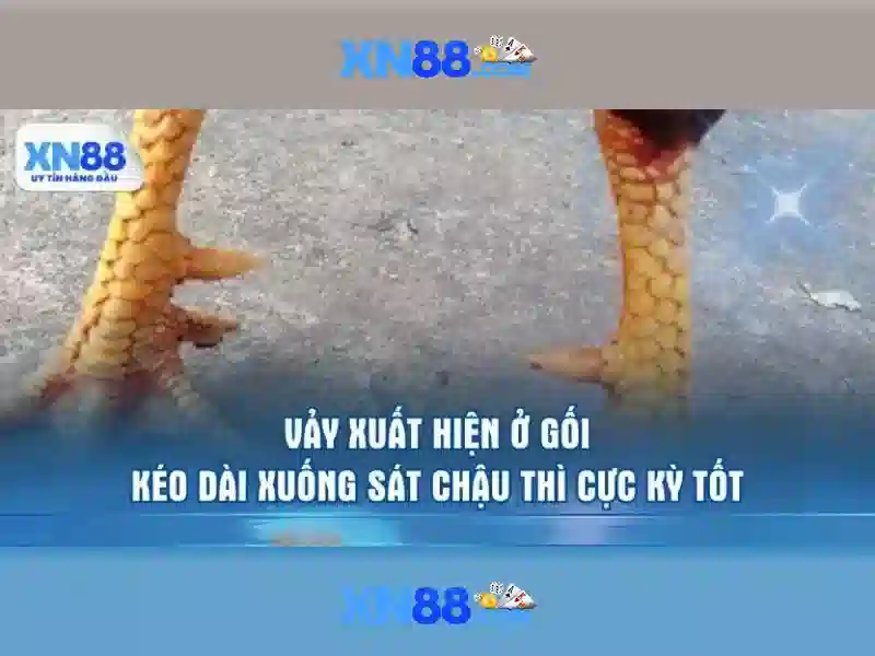 https://www.oscarandcornelius.com/images/text/xn88/xn88-text2603122457.webp