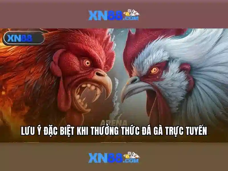 xn88 — Nền tảng giải trí trực tuyến và trải nghiệm người dùng