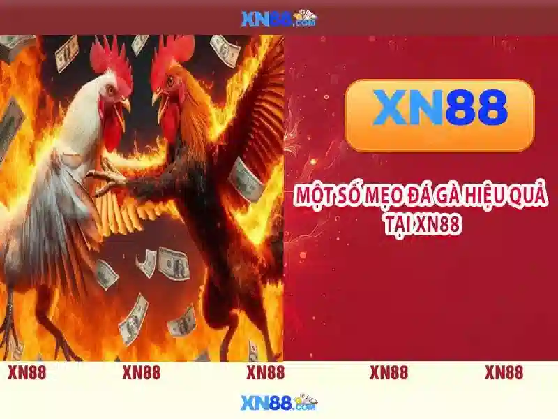 https://www.oscarandcornelius.com/images/text/xn88/xn88-text260312301.webp