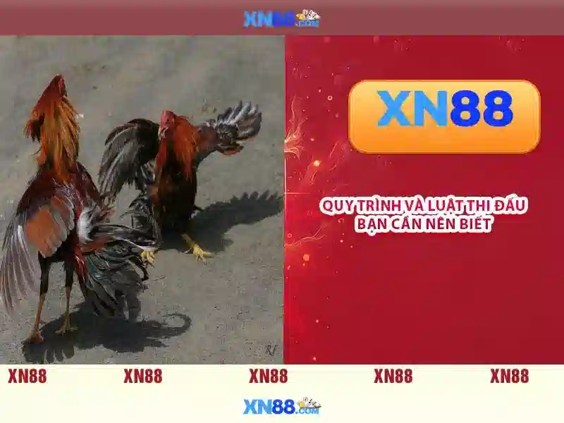 xn88: tổng quan về nền tảng chơi trực tuyến