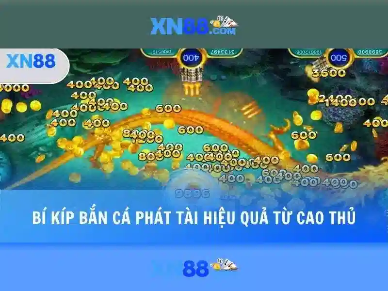 xn88: Tổng quan về nền tảng cược trực tuyến