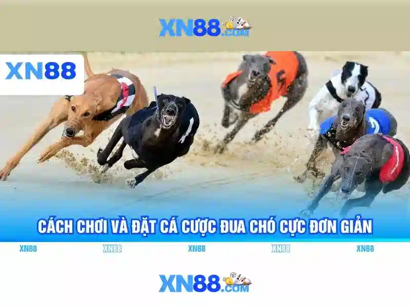 https://www.oscarandcornelius.com/images/text/xn88/xn88-text260312633.webp