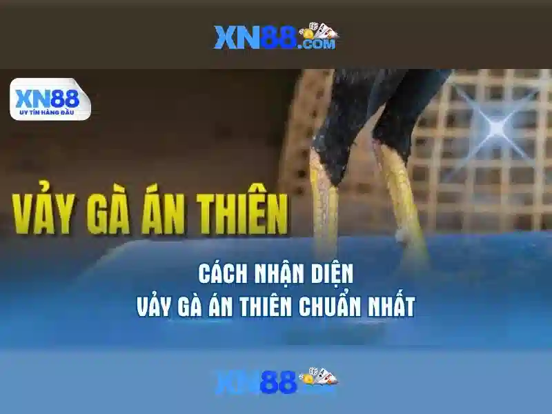https://www.oscarandcornelius.com/images/text/xn88/xn88-text260312654.webp