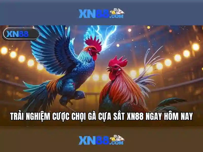 xn88: Tổng quan và ứng dụng