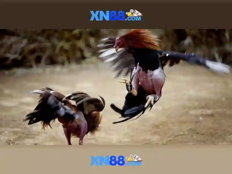 https://www.oscarandcornelius.com/images/text/xn88/xn88-text260330412.webp
