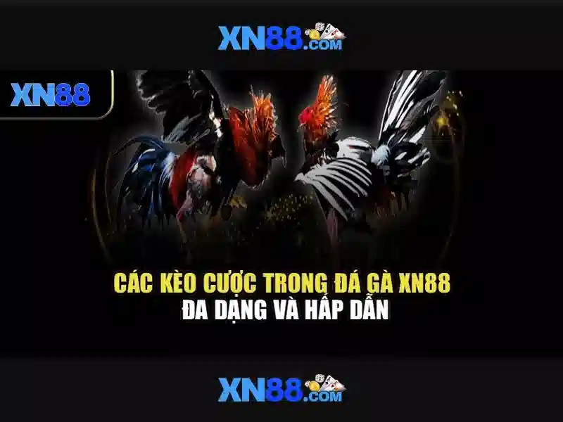 https://www.oscarandcornelius.com/images/text/xn88/xn88-text260330422.webp
