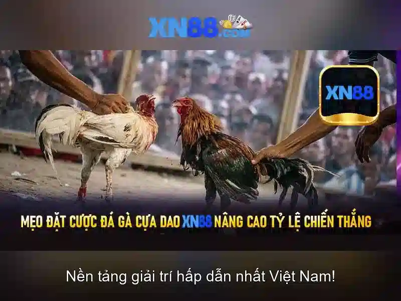 xn88 - Nền tảng giải trí và cá cược trực tuyến đáng tin cậy