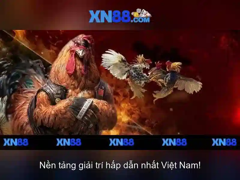 xn88 là gì và các đặc điểm nổi bật