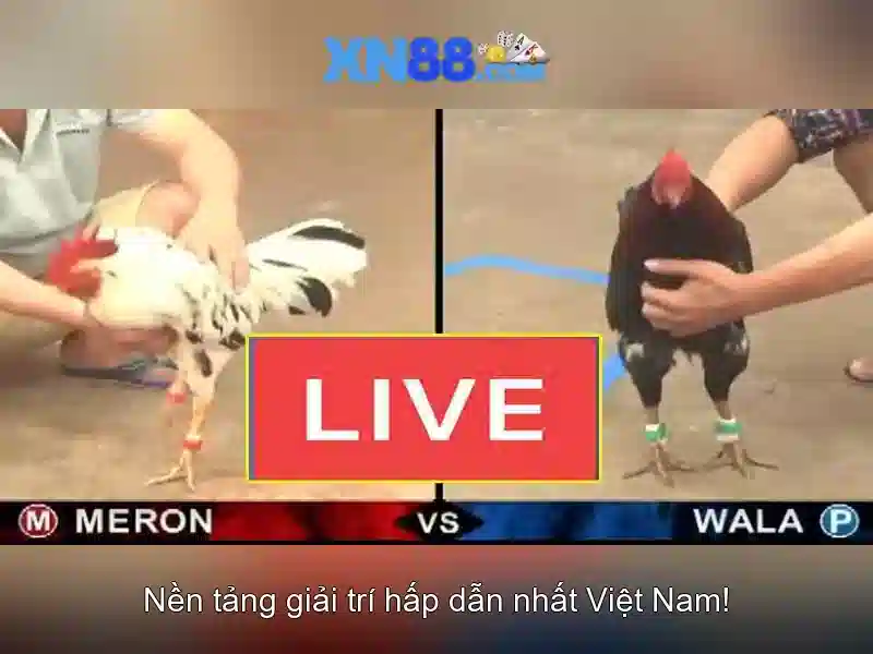 So_sanh_thuoc_tinh_dien_tai_xn88