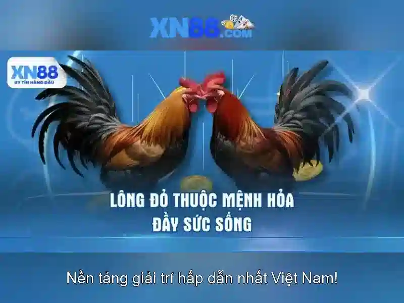 https://www.oscarandcornelius.com/images/text/xn88/xn88-text2603312879.webp