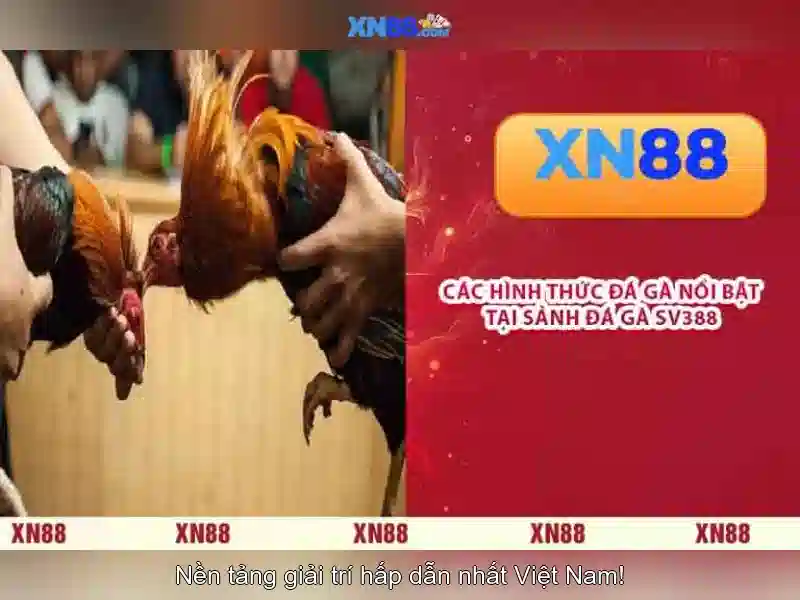https://www.oscarandcornelius.com/images/text/xn88/xn88-text260331311.webp