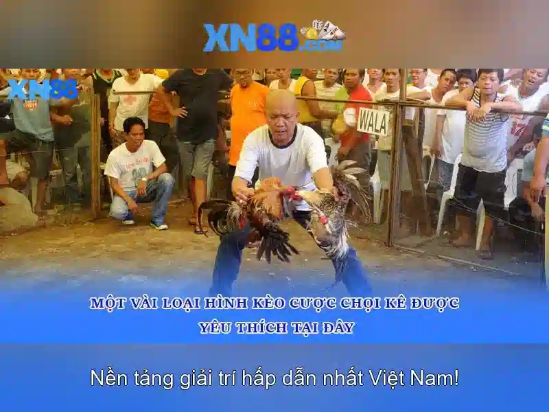 xn88 — Nền tảng trò chơi trực tuyến hàng đầu