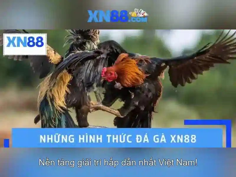 https://www.oscarandcornelius.com/images/text/xn88/xn88-text2603313361.webp