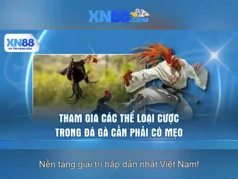 Quy trinh thu thap va xu ly du lieu an toan tai XN88