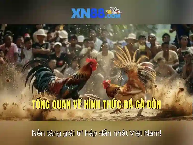 xn88: Nền tảng cá cược trực tuyến đáng tin cậy