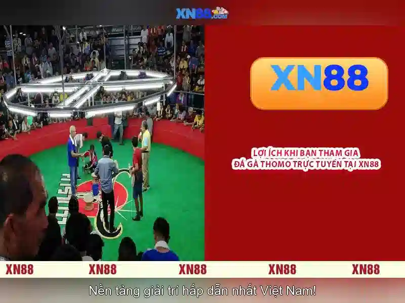 XN88: Cổng trò chơi trực tuyến và đánh giá