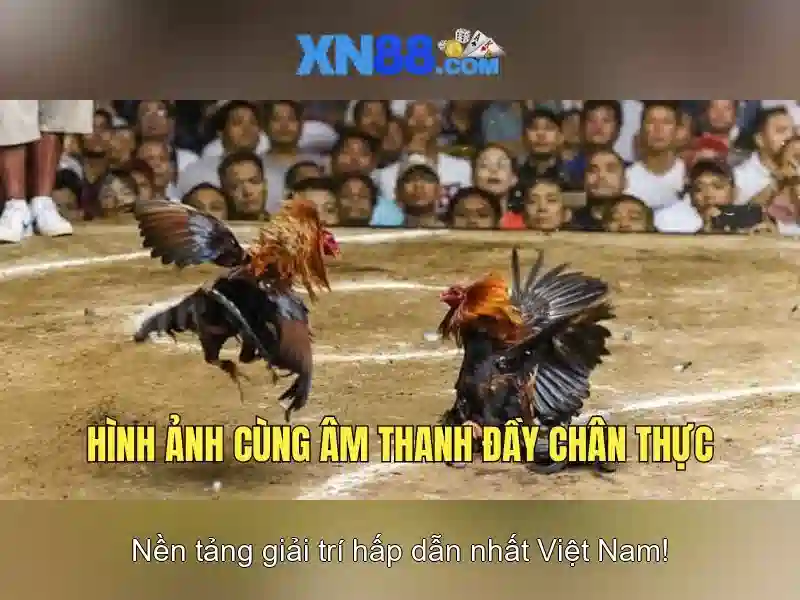 XN88: Khám phá nền tảng trò chơi trực tuyến uy tín và giải trí