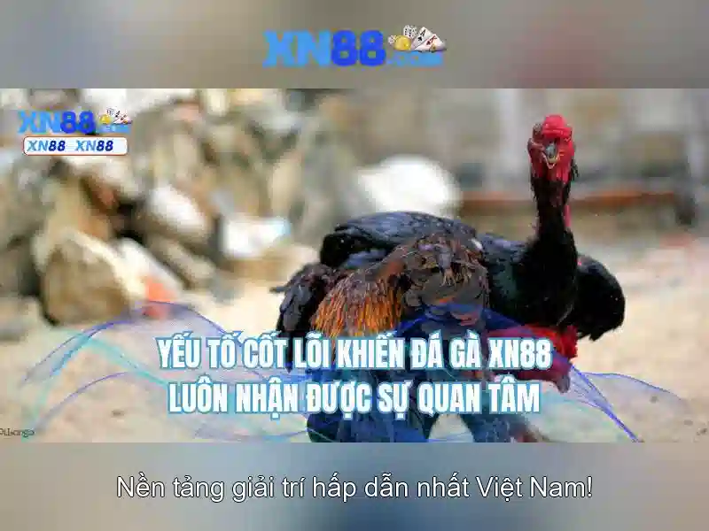 https://www.oscarandcornelius.com/images/text/xn88/xn88-text2603314859.webp