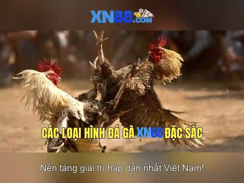 Giới thiệu về xn88