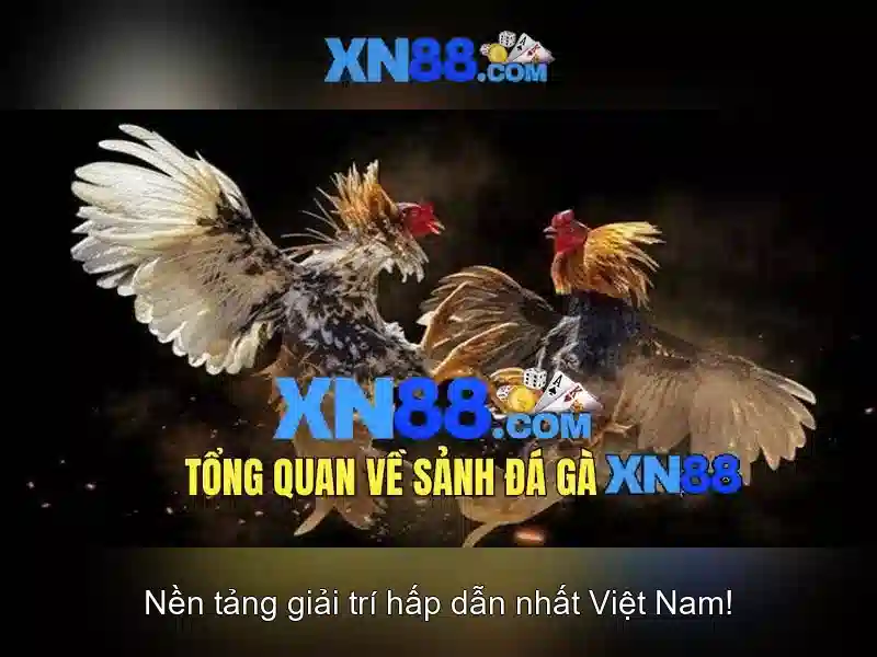 xn88: Tổng quan và mẹo an toàn
