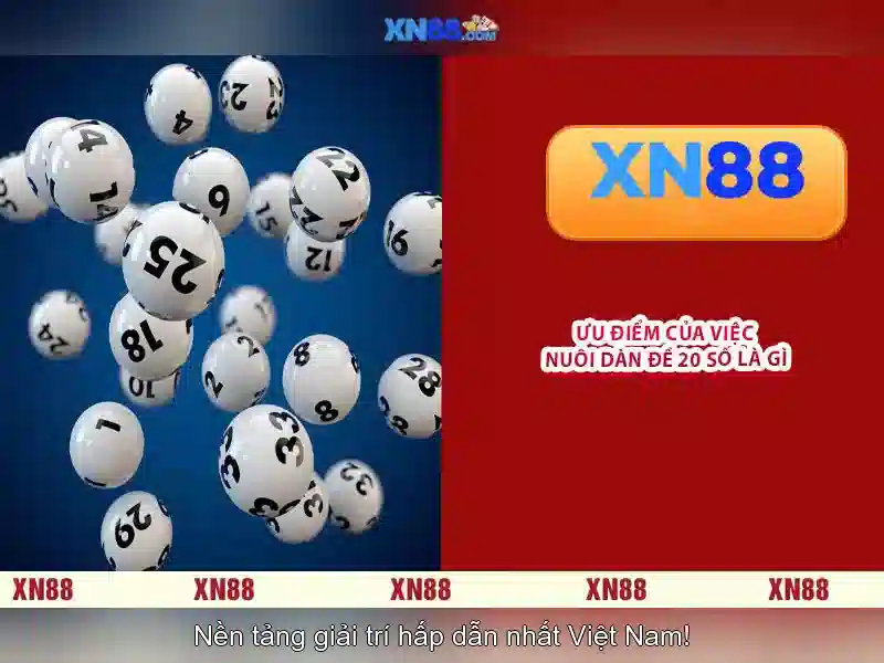 Xn88: Đánh giá và kinh nghiệm người dùng