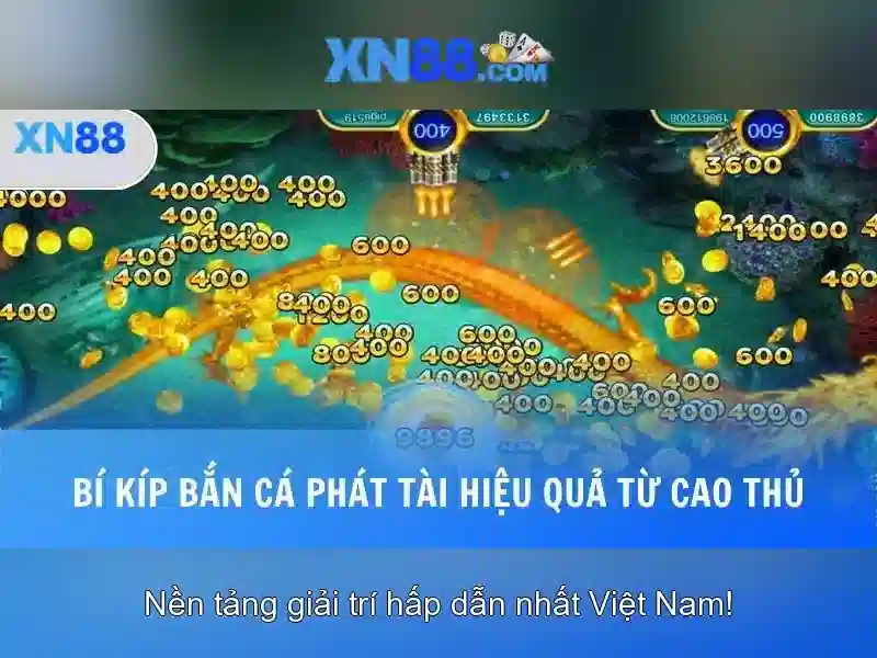 xn88: tổng quan và tiềm năng