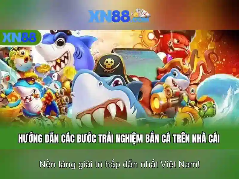 Chinh sach cookies giup toi uu trai nghiem nguoi dung